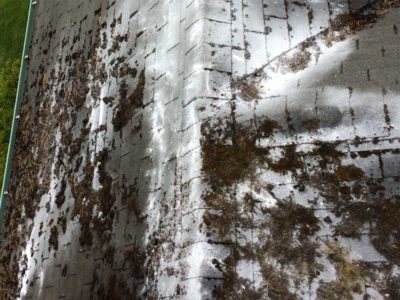 Moss Roof Treatment