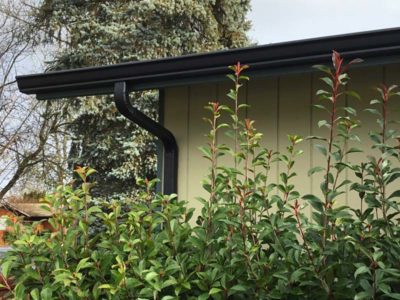 Gutter Installation